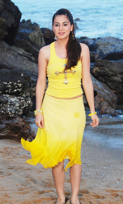 shraddha arya in beach actress pics